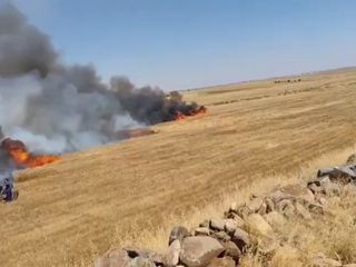 Şanlıurfa'da buğday tarlasında yangın