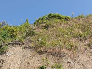 Zonguldak'ta yürüyüş yapan kadın uçurumdan düştü