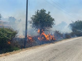 Çanakkale'de tarım arazisinde başlayan yangın, ormana sıçradı