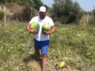 Antalya'da vatandaşa, tarladaki karpuzları ücretsiz dağıttı