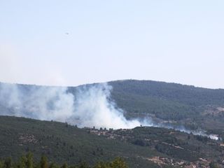 Muğla'da çıkan yangın söndürüldü
