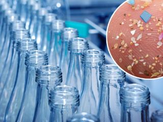 Cam şişeler plastik şişelere göre 50 kat daha fazla mikroplastik içeriyor