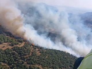 Aydın'da zirai alanda çıkan yangın korkuttu