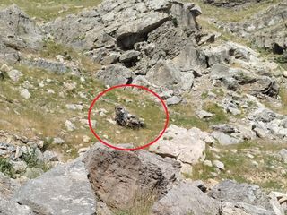 Batman'da bilirkişi heyeti kaza yaptı