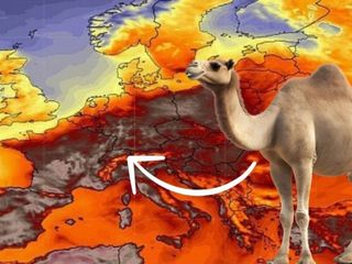 44'ü görecek! Yola çıktı: Salı gününden itibaren...