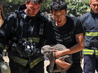 Antalya'da yangında mahsur kaldı, kedisini bırakmadı