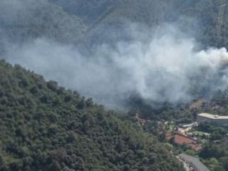 İzmir'de orman yangınları