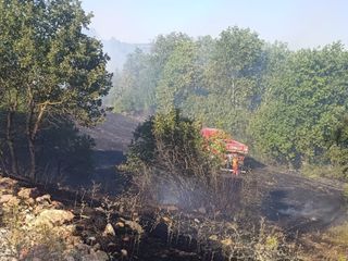 Çanakkale'de tarım arazisinde yangın paniği