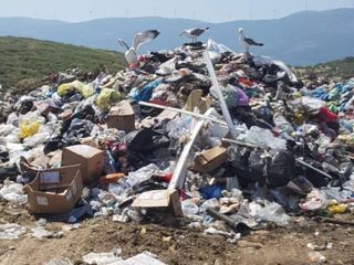 Bakanlıktan, İzmir Büyükşehir Belediyesi'ne çevre mevduatına aykırılıktan ceza