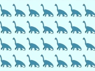 Dinozorlara bakın, farklı olanı ayırın! Tam bir süper zeka işi...