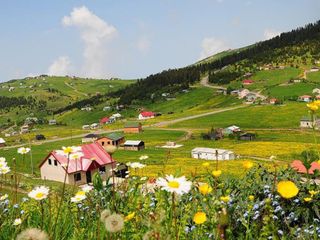 Temiz hava, oksijen demeyin! Yaylaya çıkmak da zararlı çıktı...