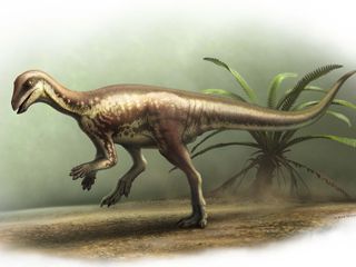 Bu köpek büyüklüğündeki dinozor yaklaşık 150 milyon yıl önce yaşadı