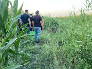 Adana'da sazlıklar arasında bir kişi ölü bulundu