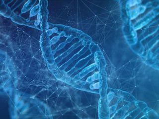 DNA'lar yeniden kodlanıyor: Laboratuvarda "insan üretimi" yapılacak
