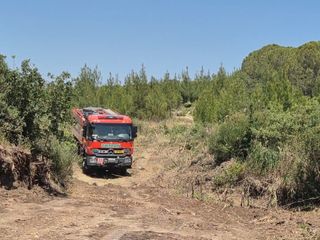 Tekirdağ'da çıkan orman yangınına havadan ve karadan müdahale