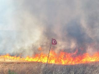 Edirne'de tarım arazilerine sıçrayan yangın kontrol altına alındı