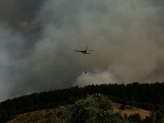 Sakarya’daki orman yangını Bilecik’e sıçradı