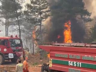 Sakarya’daki orman yangınında itfaiyeciler ölüm kalım savaşı verdi