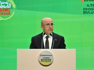Mehmet Şimşek'ten 'enflasyon' değerlendirmesi