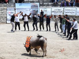 Rize'de Çamlıhemşin Ayder Kültür, Sanat ve Doğa Festivali