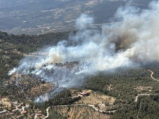 Balıkesir'de orman yangını kontrol altına alındı