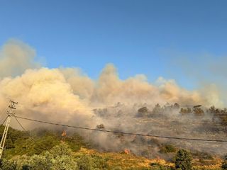 Antalya Gazipaşa'da orman yangını