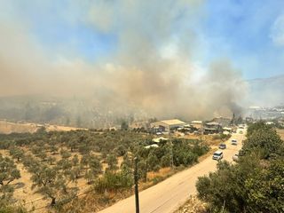 Hatay'da ormanlık alanda çıkan yangın kısa sürede büyüdü