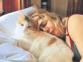 Sezen Aksu'nun acı günü! Kedisi Sütlü öldü
