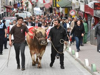 Artvin'de Kafkasör Festivali başladı