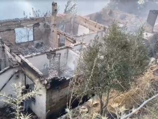 İzmir Ödemiş'teki orman yangınında can kaybı