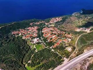 İzmir'de çıkan yangınlar sonrası yürek burkan kareler