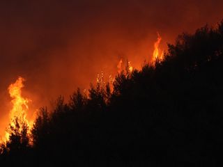 İzmir Ödemiş'te bir orman işçisi şehit oldu
