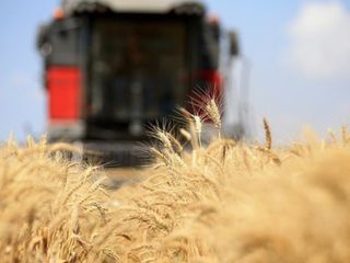 Türkiye, FAO konsey üyeliğine seçildi