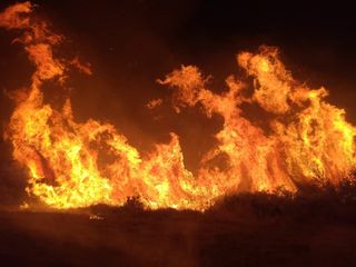 Manavgat'taki yangında 8 dönümlük alan zarar gördü