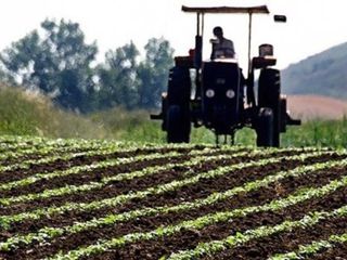 Çiftçilere 345 milyon lira tarımsal destekleme ödemesi