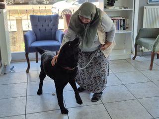 Şikayet üzerine alınan köpeklerini bir yıl sonra çip sayesinde buldular