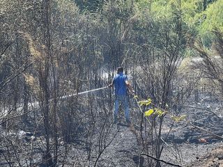 Sakarya'da çıkan orman yangını büyümeden kontrol altına alındı