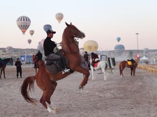 Kapadokya'da At ve Atçılık Kültürü Festivali düzenleniyor