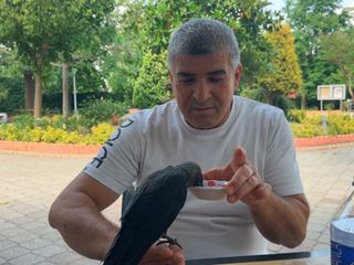 İstanbul'da aç kargayı elleriyle besledi