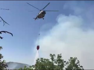 Şırnak'taki orman ve örtü yangını kontrol altına alındı