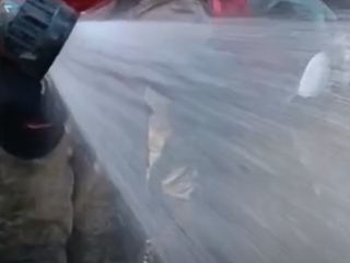 İzmir'deki orman yangınında canlı bulunan balığı itfaiye ekipleri kurtardı