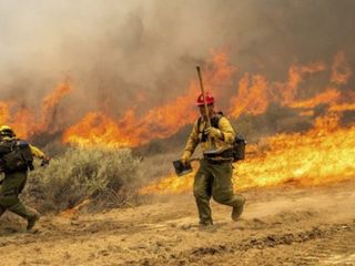 California'da orman yangınları: Binlerce hektar alan yandı
