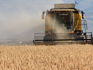 Türkiye, tarımsal hasılada rekor kırdı