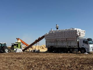 Diyarbakır'da 45 derece sıcaklıkta hububat hasadı