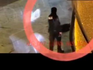İzmir'de bir kişiyi ısırdığı için köpeği vuran polis hakkında karar