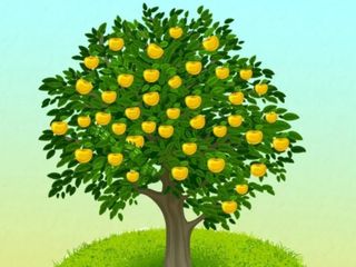 İllüzyon testi: Süper zekalar çözebilir! Limonların arasında gizli biri var...