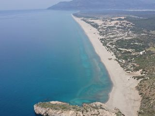Akdeniz'de deniz suyu sıcaklığı arttı, zehirli balıklar geldi