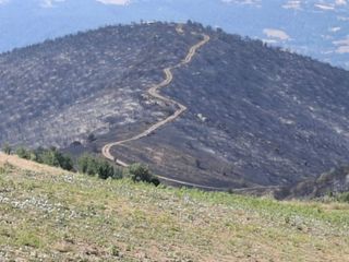 Manisa'da yangından geriye küle dönen evler ve tarlalar kaldı