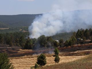 Kastamonu'da orman yangını
