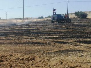 Isparta'da yangın: 30 dönümlük tarla yanarak kül oldu